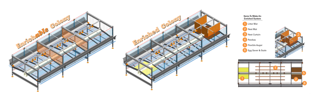 enriched colony housing