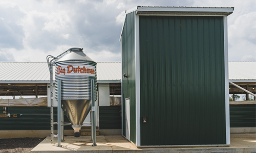 Feed Silo