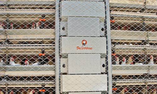 Feed cart for poultry feeding