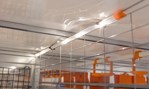 Flex LED poultry house lighting