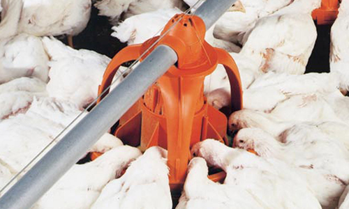 UniGrow Broiler feeding system