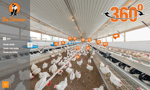 Broiler Breeder Management