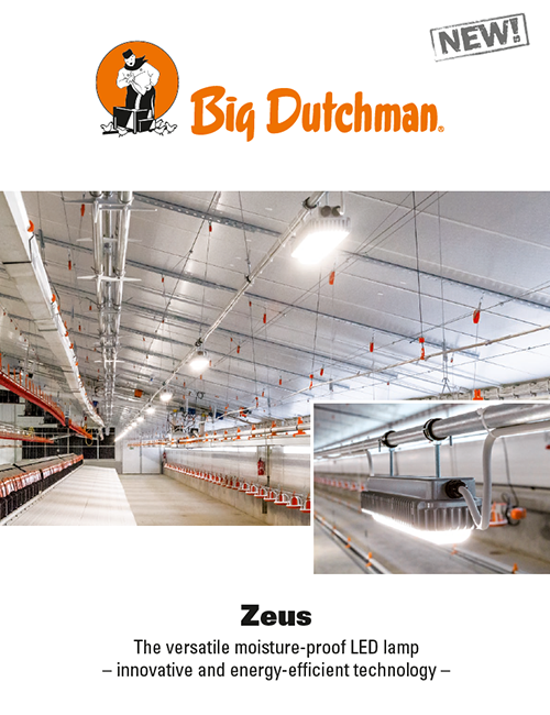 zeus lighting brochure